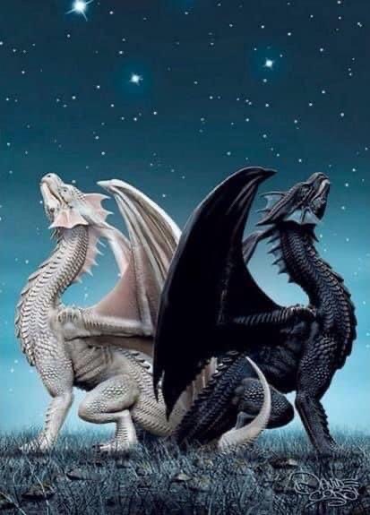 Dragon Mates